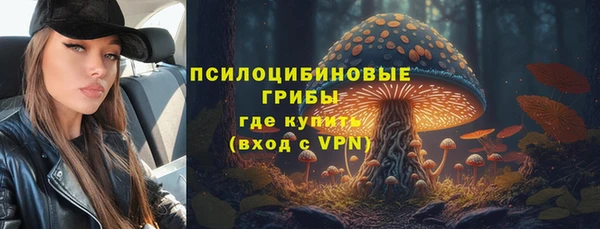 винт Алзамай