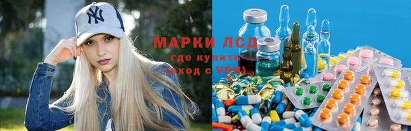 винт Алзамай