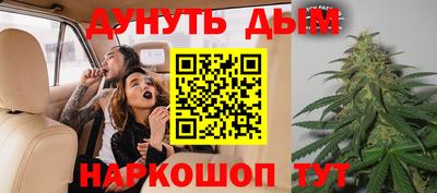 сатива Кулебаки