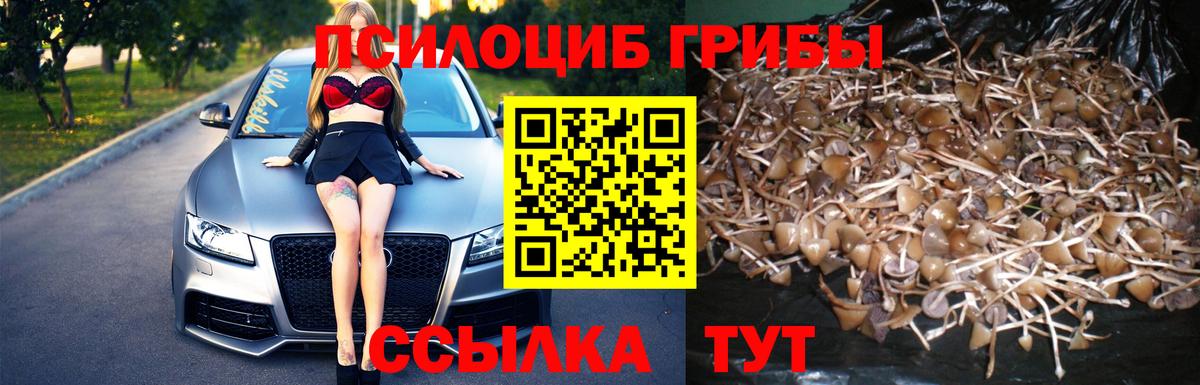 сколько стоит  Вход с VPN  Изобильный  Галлюциногенные грибы MAGIC MUSHROOMS 